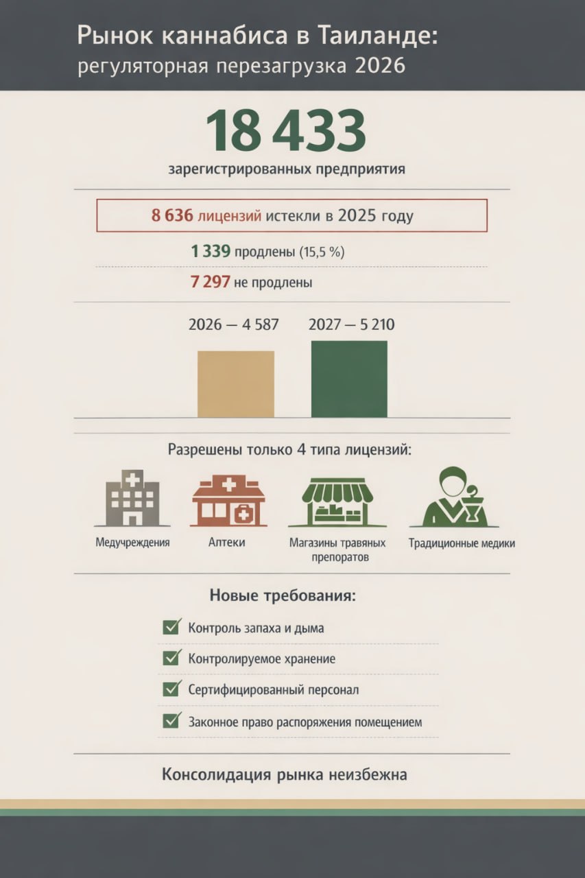 Рынок каннабиса в Таиланде: перезагрузка в 2026